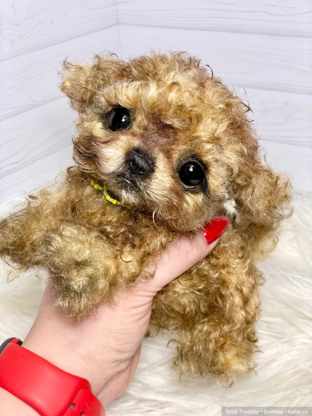 Мальтипу🐶 — Реалистичные игрушки и звери (Натюр): собаки (фото 10)