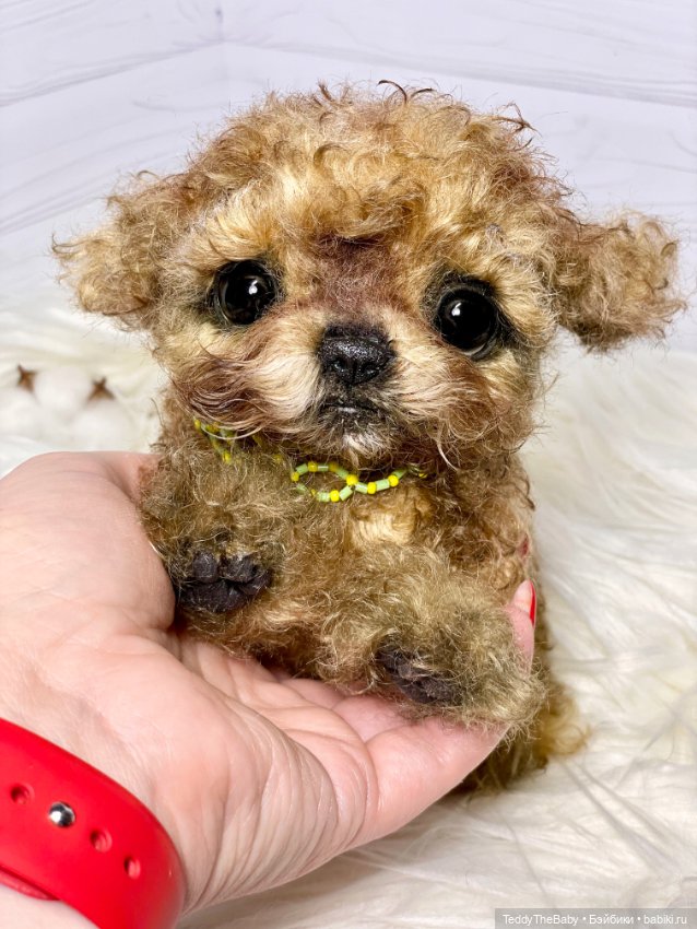 Мальтипу🐶 — Реалистичные игрушки и звери (Натюр): собаки