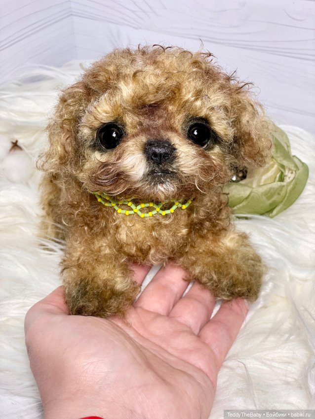 Мальтипу🐶 — Реалистичные игрушки и звери (Натюр): собаки