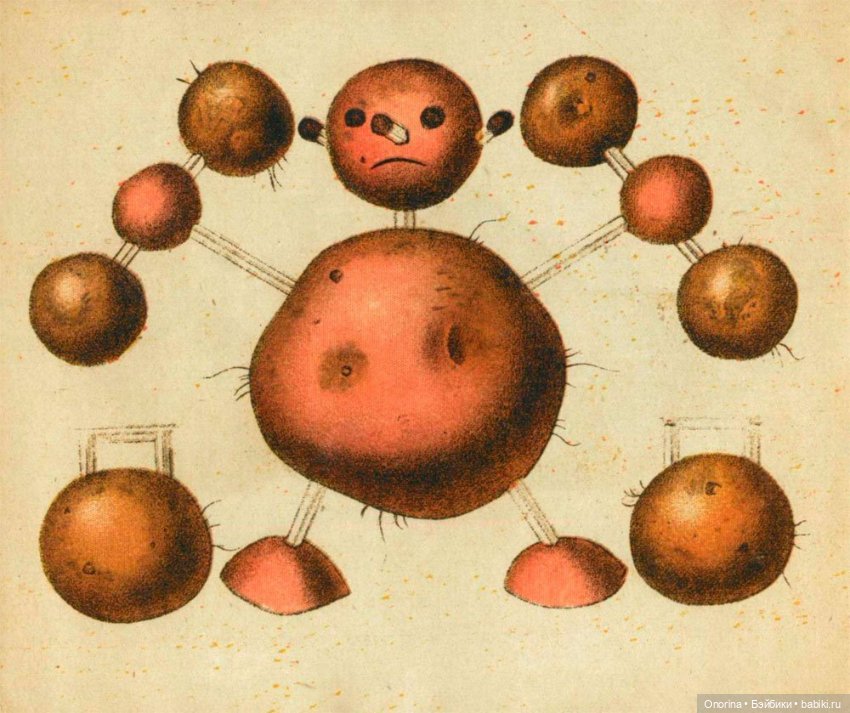 День варёного картофеля — Интересное и необычное: фотоподборки (фото 7)