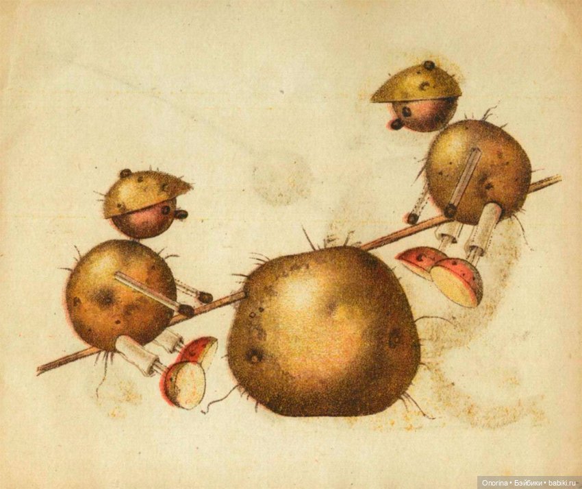 День варёного картофеля — Интересное и необычное: фотоподборки (фото 10)