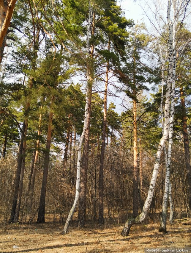 Показываемся для Фоточетверга по теме «Привет новеньким!»