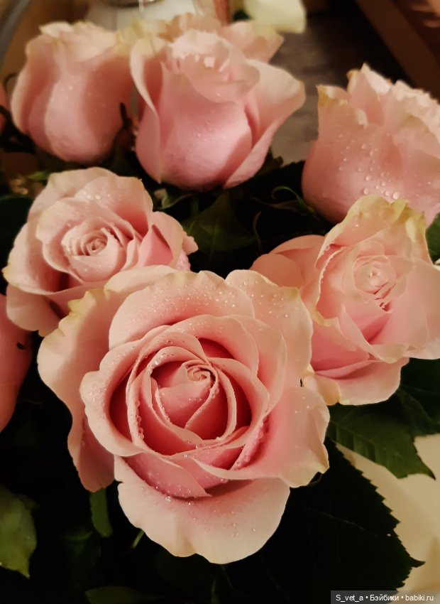 Новый взгляд на ивановских кукол