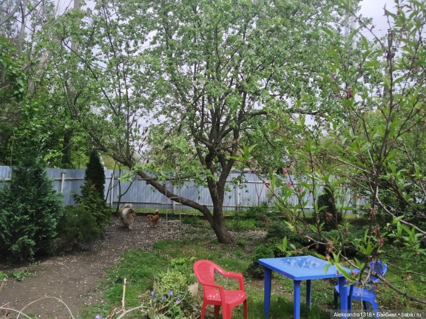 Кто ходит в гости по утрам