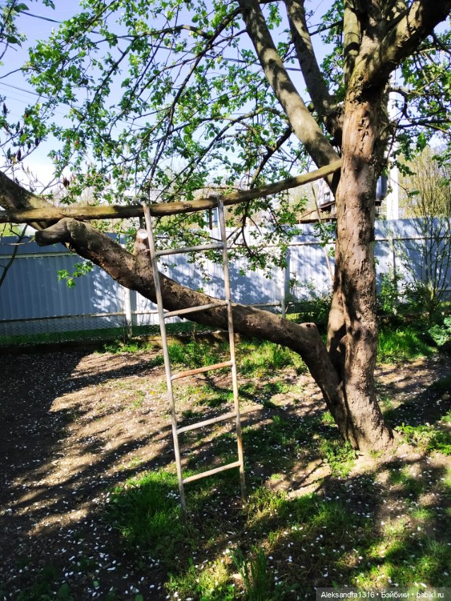 Кто ходит в гости по утрам