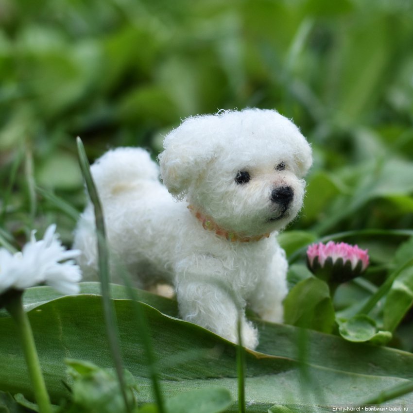 Наконец-то полноценная весна