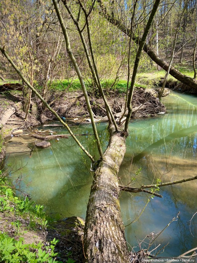 В восторге от погоды 🥰 — Авторские шарнирные куклы своими руками: лепка (фото 3)
