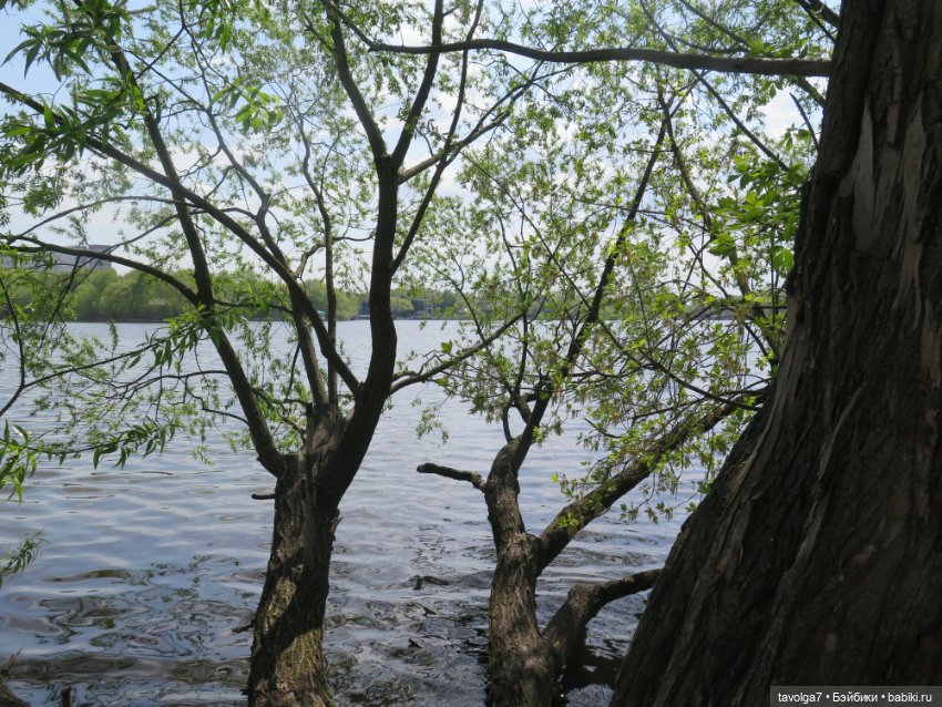 Cappuccino Corolle на теле Paola Reina (фото 6)