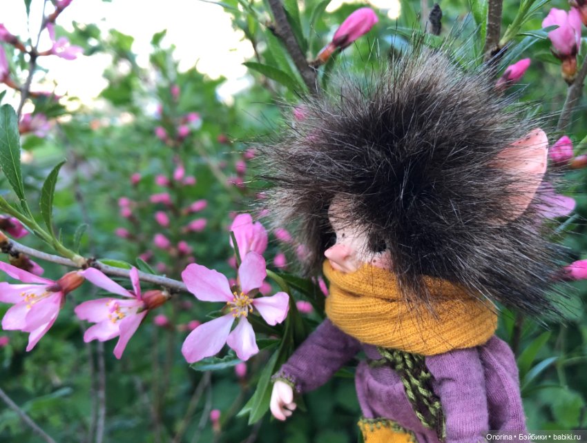 Аука в городе — Домашние фото авторских игрушек: Тедди