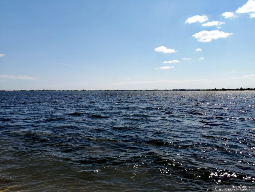 Туристы на Волге — Игровые куклы разных производителей (Разное): редкие бренды (фото 5)