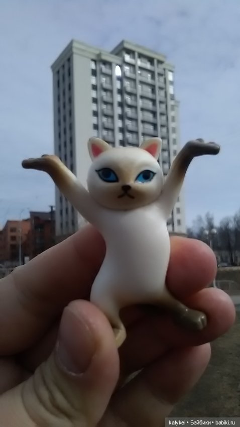 Спот, деньги и крышечки (400-й топик)