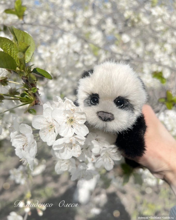 Пандочка — Авторские мишки Тедди и друзья: фото (фото 2)