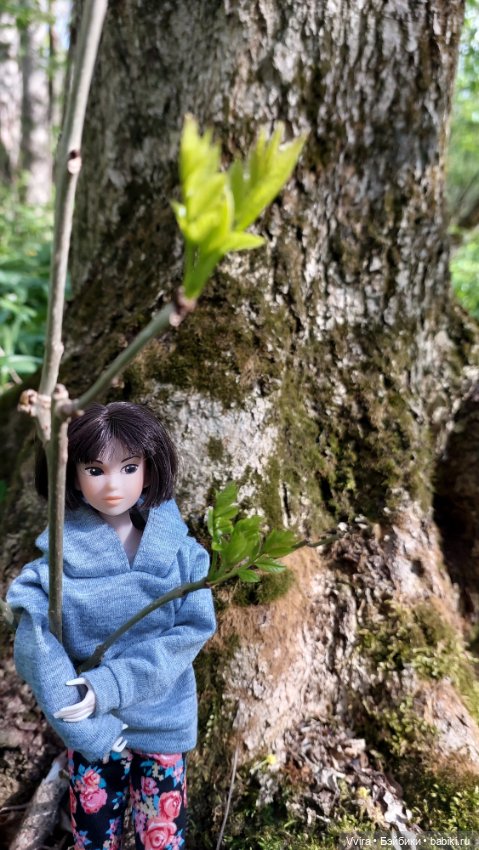 Много зелени и одна кукла (фото 8)