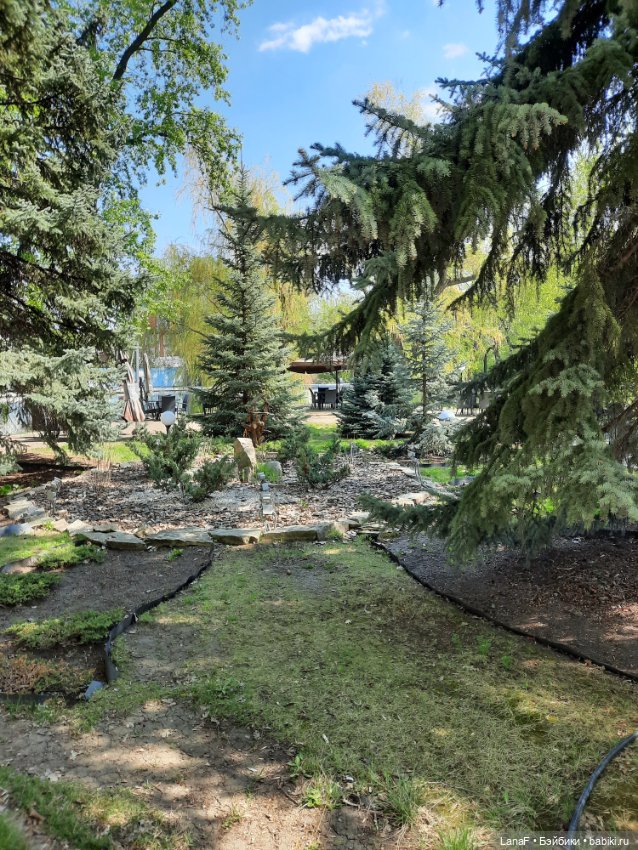 Амели в Парке Культуры и Отдыха , готц gotz little kids 36