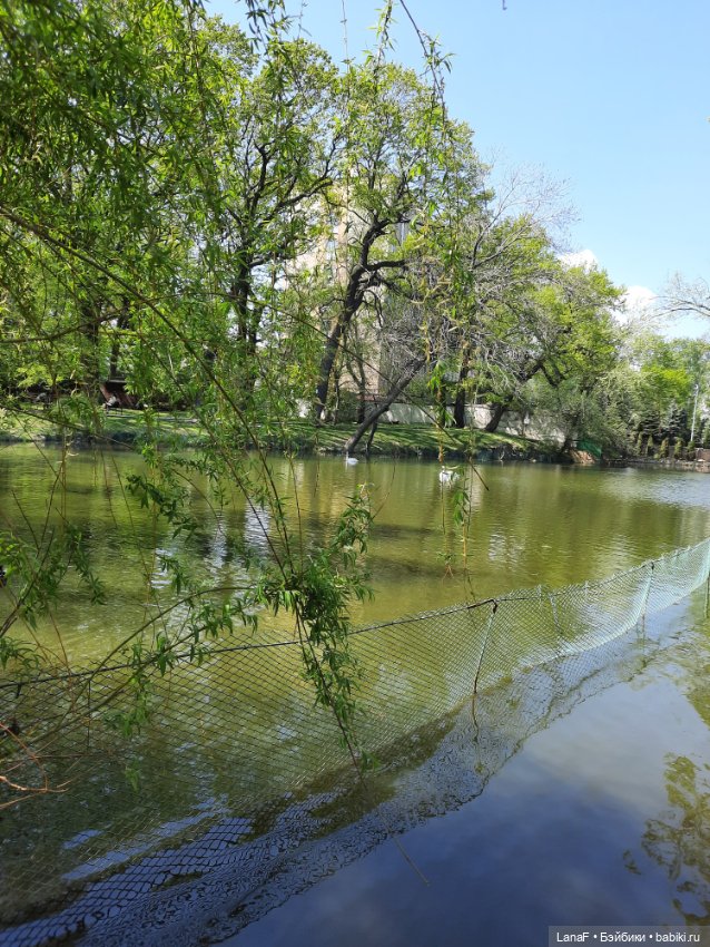 Амели в Парке Культуры и Отдыха , готц gotz little kids 36