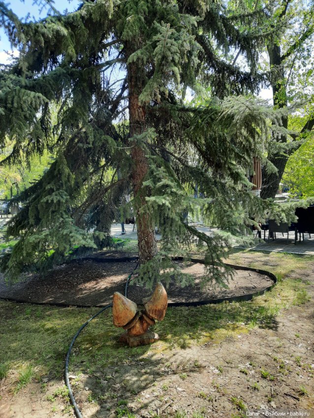 Амели в Парке Культуры и Отдыха , готц gotz little kids 36