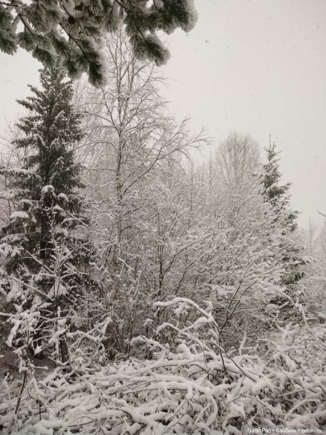 А у нас сегодня вот...❄️❄️❄️ (фото 7)