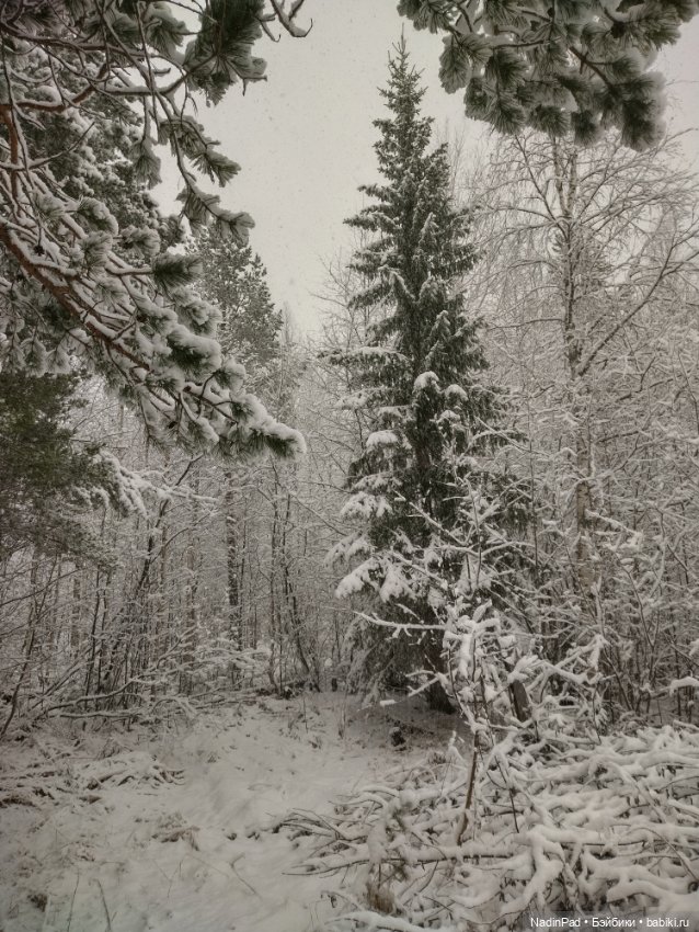 А у нас сегодня вот...❄️❄️❄️
