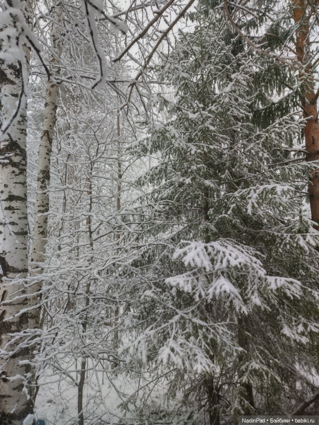 А у нас сегодня вот...❄️❄️❄️ (фото 6)