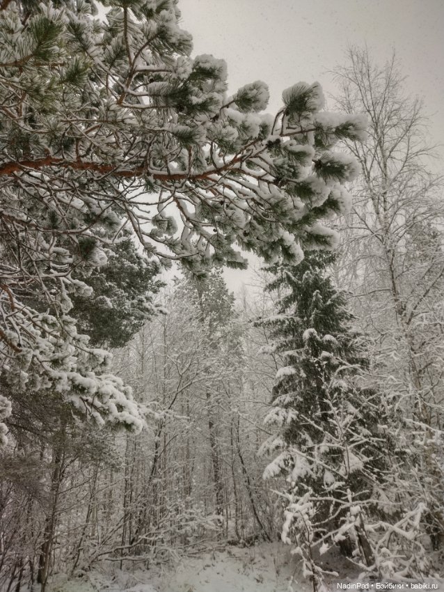 А у нас сегодня вот...❄️❄️❄️ (фото 9)