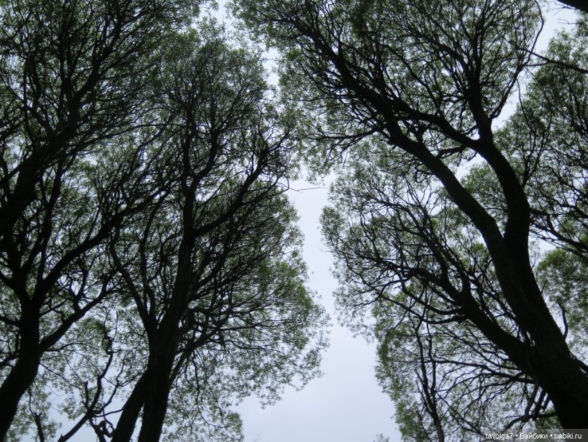 Ханами со льдом — Куклы Corolle (Королле): французские