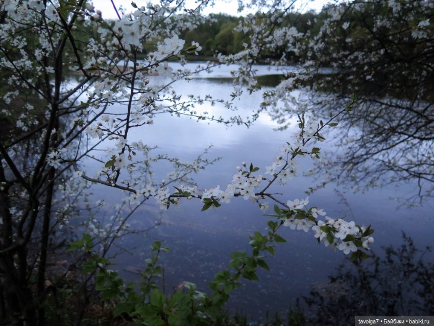 Ханами со льдом — Куклы Corolle (Королле): французские (фото 2)