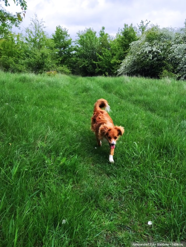 По дороге с облаками⛅ — Туризм и путешествия: фотоотчеты из поездок