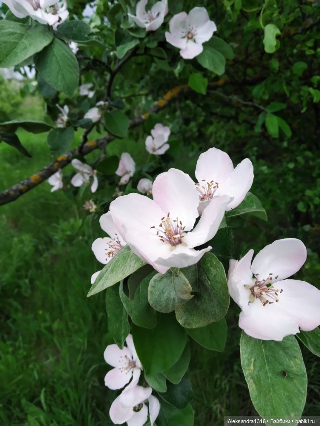 По дороге с облаками⛅ — Туризм и путешествия: фотоотчеты из поездок (фото 7)