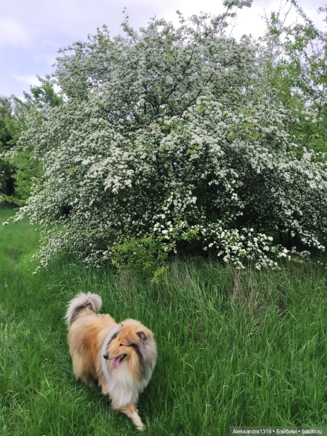 По дороге с облаками⛅ — Туризм и путешествия: фотоотчеты из поездок