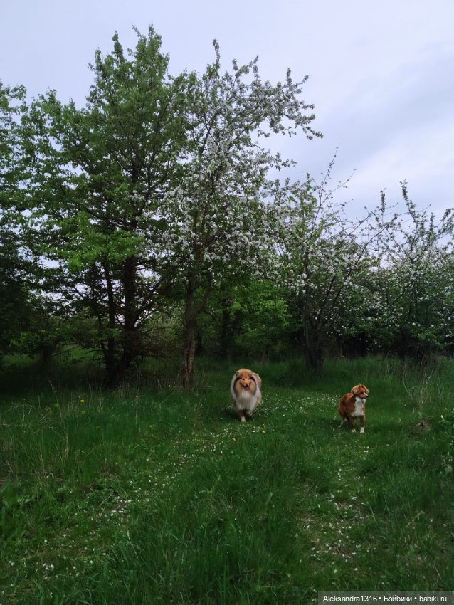 По дороге с облаками⛅ — Туризм и путешествия: фотоотчеты из поездок