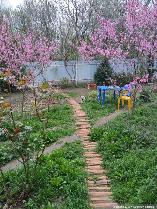По дороге с облаками⛅ — Туризм и путешествия: фотоотчеты из поездок