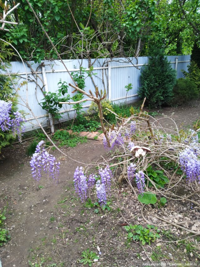 По дороге с облаками⛅ — Туризм и путешествия: фотоотчеты из поездок