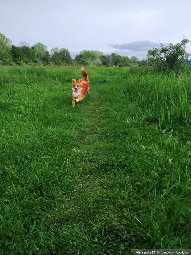 По дороге с облаками⛅ — Туризм и путешествия: фотоотчеты из поездок (фото 5)