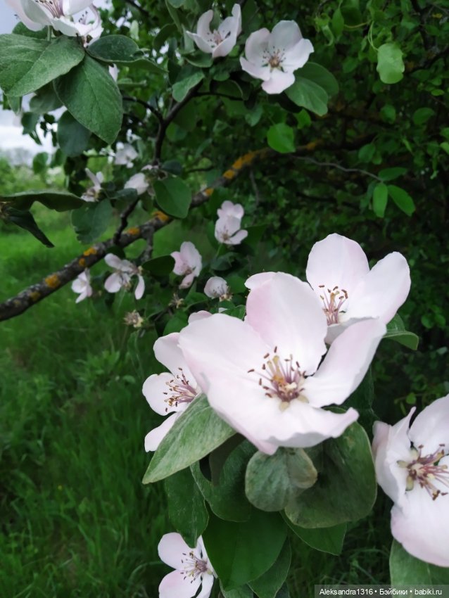 По дороге с облаками⛅ — Туризм и путешествия: фотоотчеты из поездок