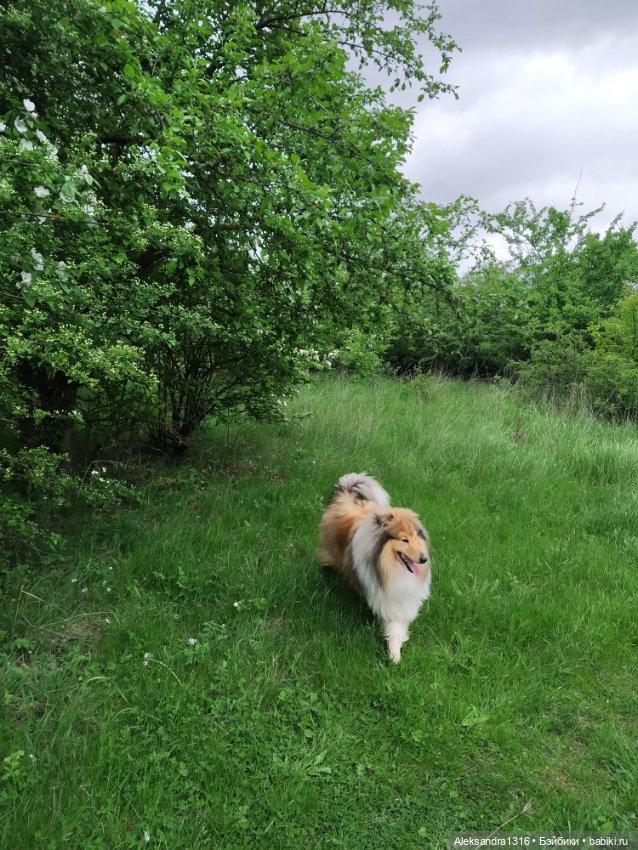 По дороге с облаками⛅ — Туризм и путешествия: фотоотчеты из поездок