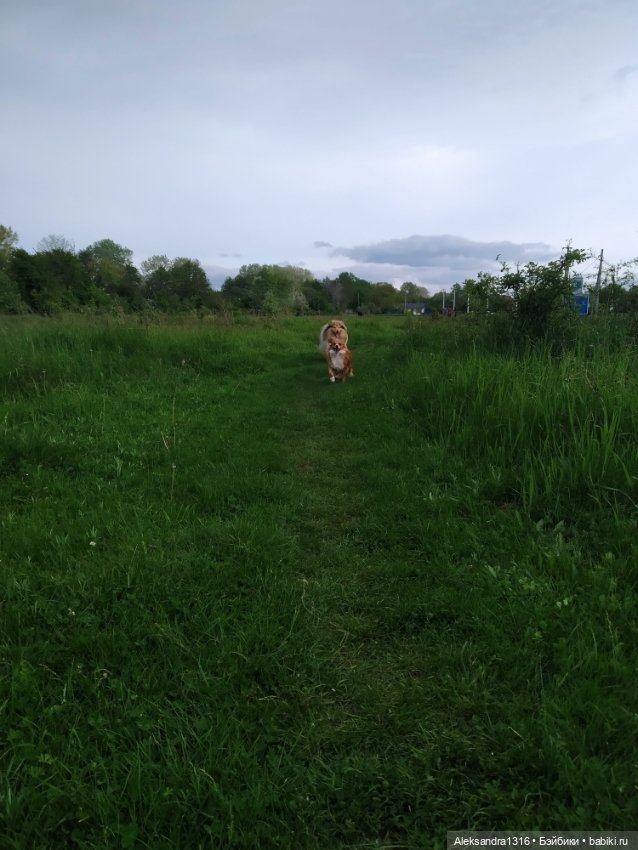 По дороге с облаками⛅ — Туризм и путешествия: фотоотчеты из поездок (фото 6)