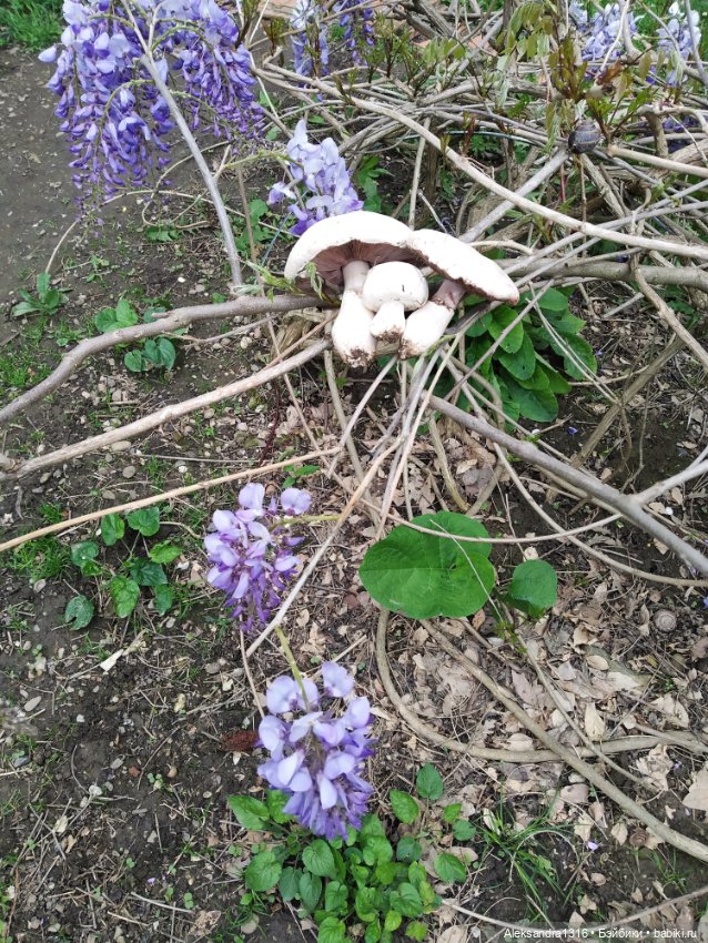 По дороге с облаками⛅ — Туризм и путешествия: фотоотчеты из поездок