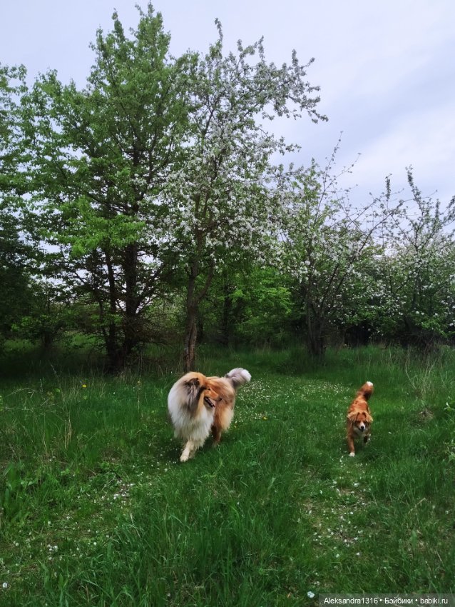 По дороге с облаками⛅ — Туризм и путешествия: фотоотчеты из поездок (фото 8)