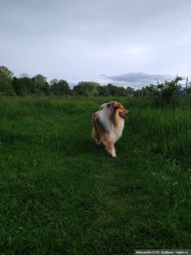 По дороге с облаками⛅ — Туризм и путешествия: фотоотчеты из поездок (фото 4)