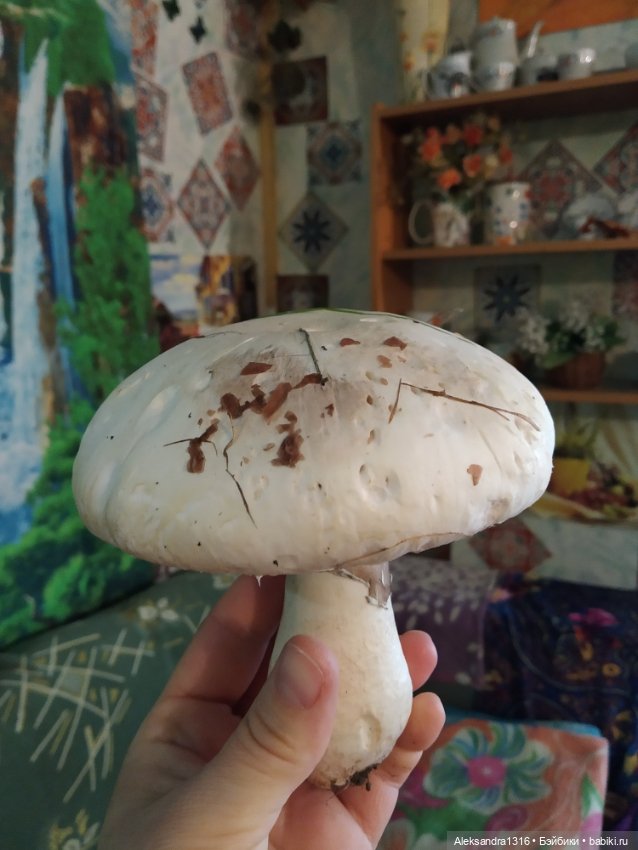 По дороге с облаками⛅ — Туризм и путешествия: фотоотчеты из поездок