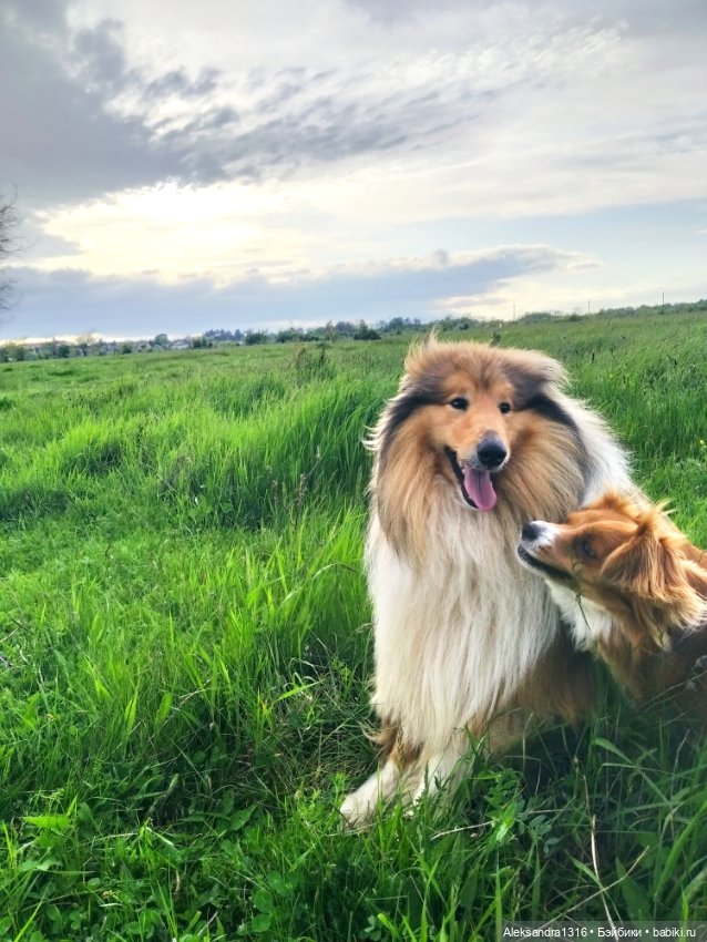 По дороге с облаками⛅ — Туризм и путешествия: фотоотчеты из поездок