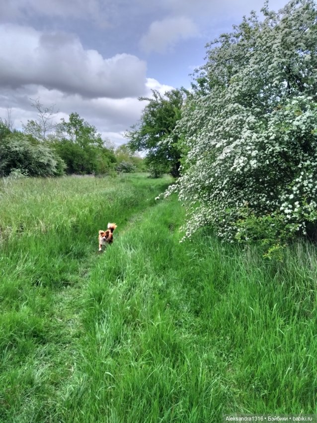 По дороге с облаками⛅ — Туризм и путешествия: фотоотчеты из поездок