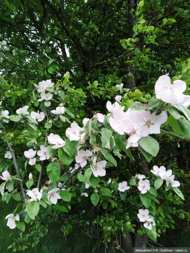 По дороге с облаками⛅ — Туризм и путешествия: фотоотчеты из поездок (фото 2)