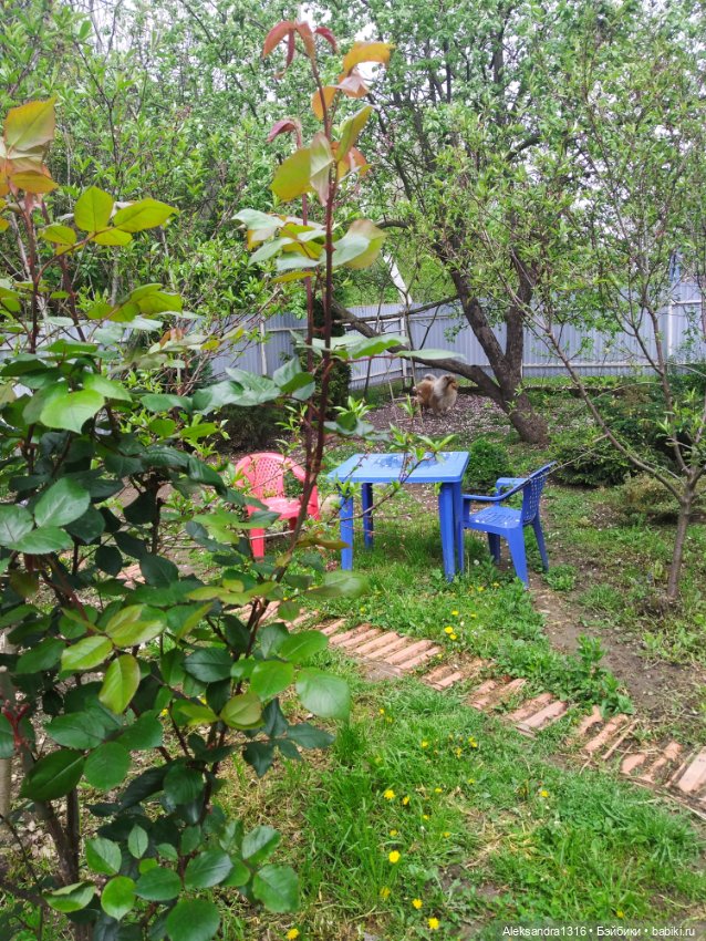 По дороге с облаками⛅ — Туризм и путешествия: фотоотчеты из поездок