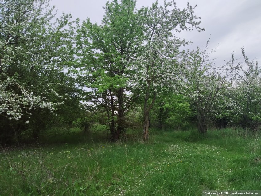 По дороге с облаками⛅ — Туризм и путешествия: фотоотчеты из поездок (фото 3)