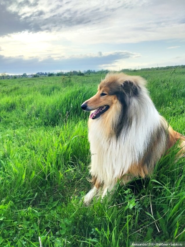 По дороге с облаками⛅ — Туризм и путешествия: фотоотчеты из поездок