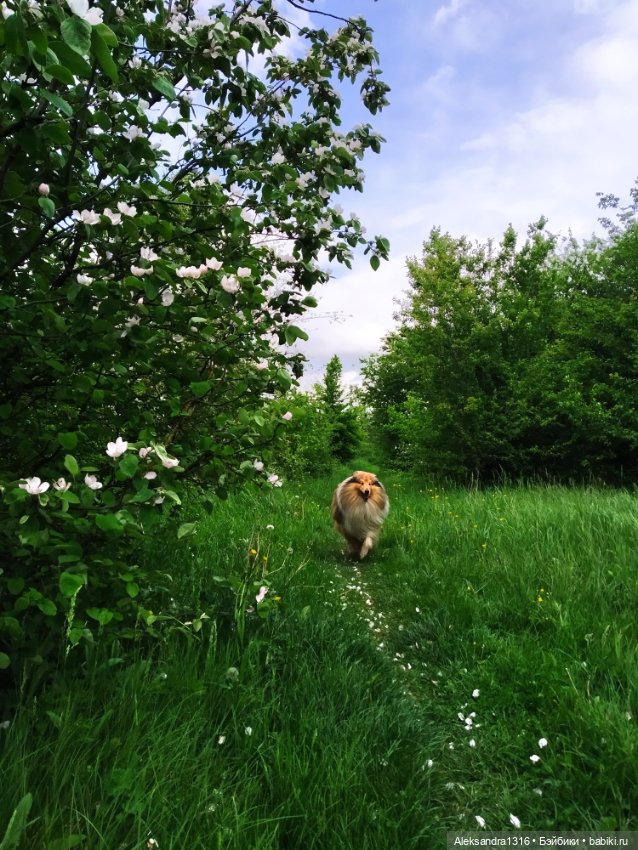 По дороге с облаками⛅ — Туризм и путешествия: фотоотчеты из поездок (фото 10)