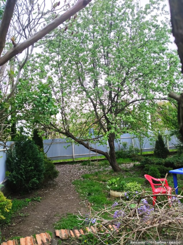 По дороге с облаками⛅ — Туризм и путешествия: фотоотчеты из поездок