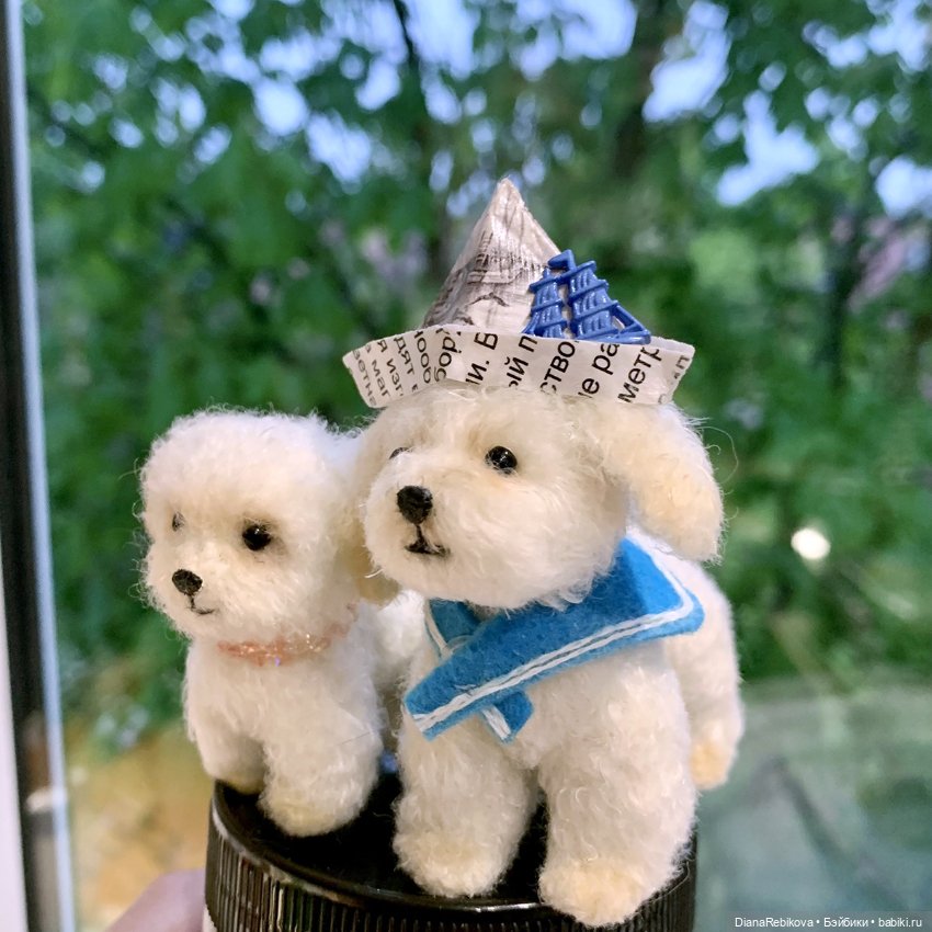 Капитан, капитан, улыбнитесь (фото 4)