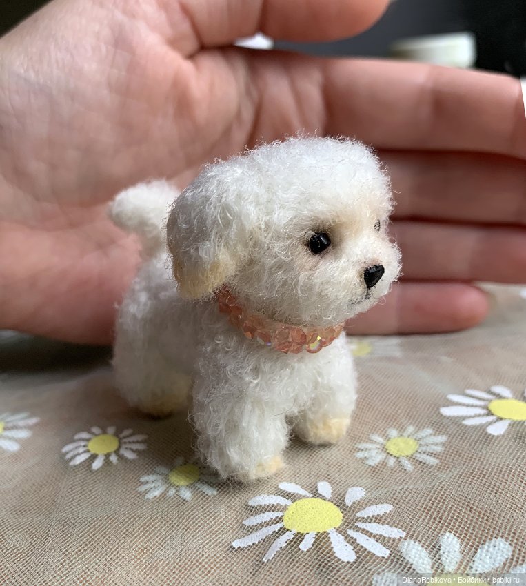 Капитан, капитан, улыбнитесь (фото 5)